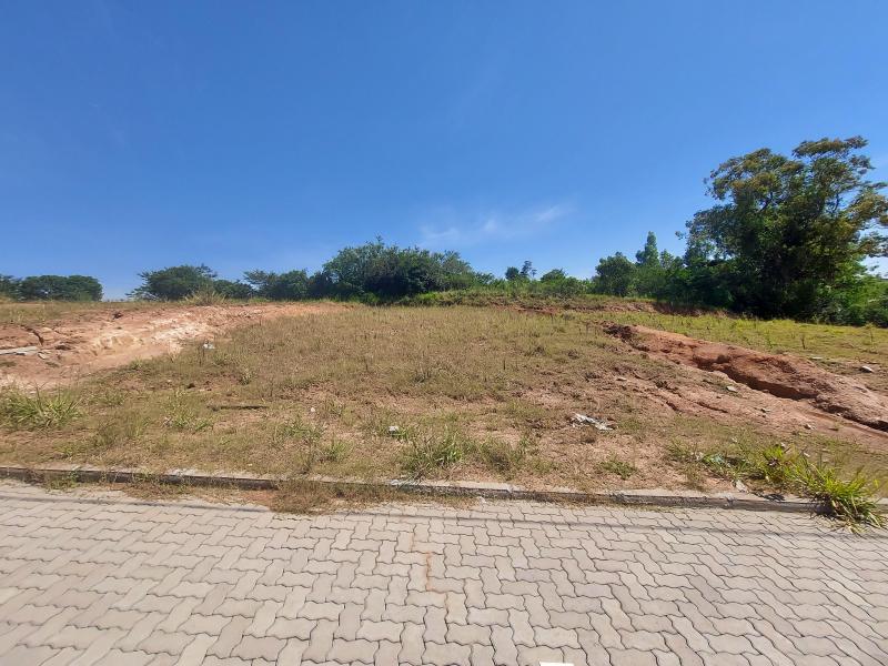 Carolina Fraga - Corretora de Imóveis | Terreno para Venda -  - 